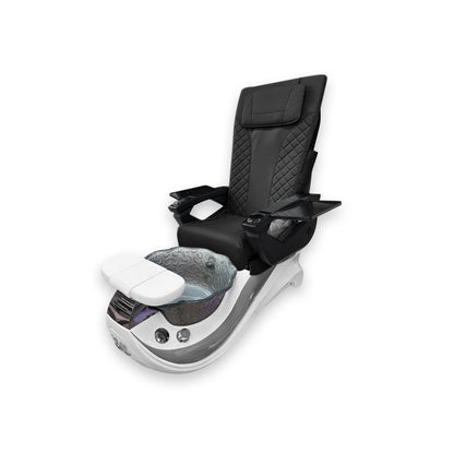 Dolphin Gray Stripe with Gray Fiberglass Bowl – DT PediSpa Back Massage
