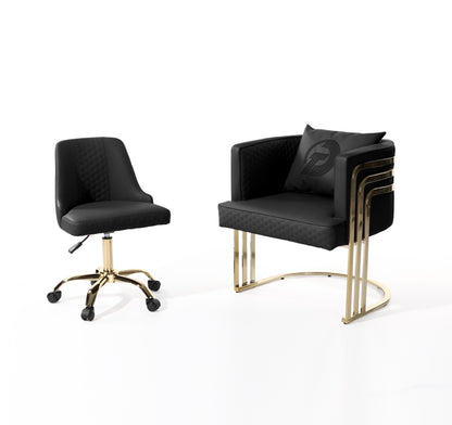 DT Luxury Customber & Technician chair
