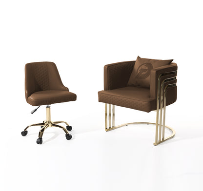 DT Luxury Customber & Technician chair