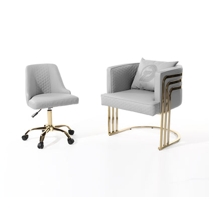 DT Luxury Customber & Technician chair