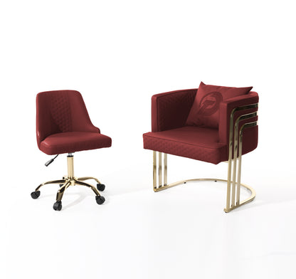 DT Luxury Customber & Technician chair